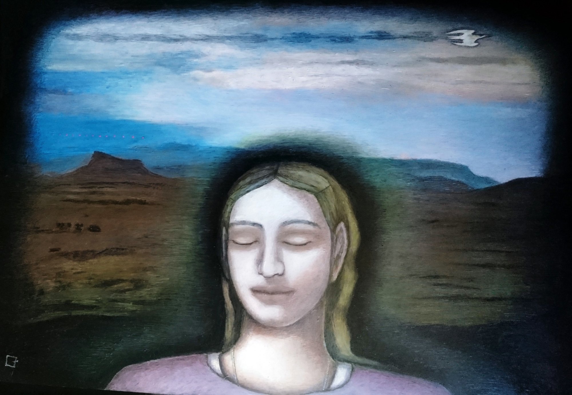 Liekie Fouche - Overland I Am Flying